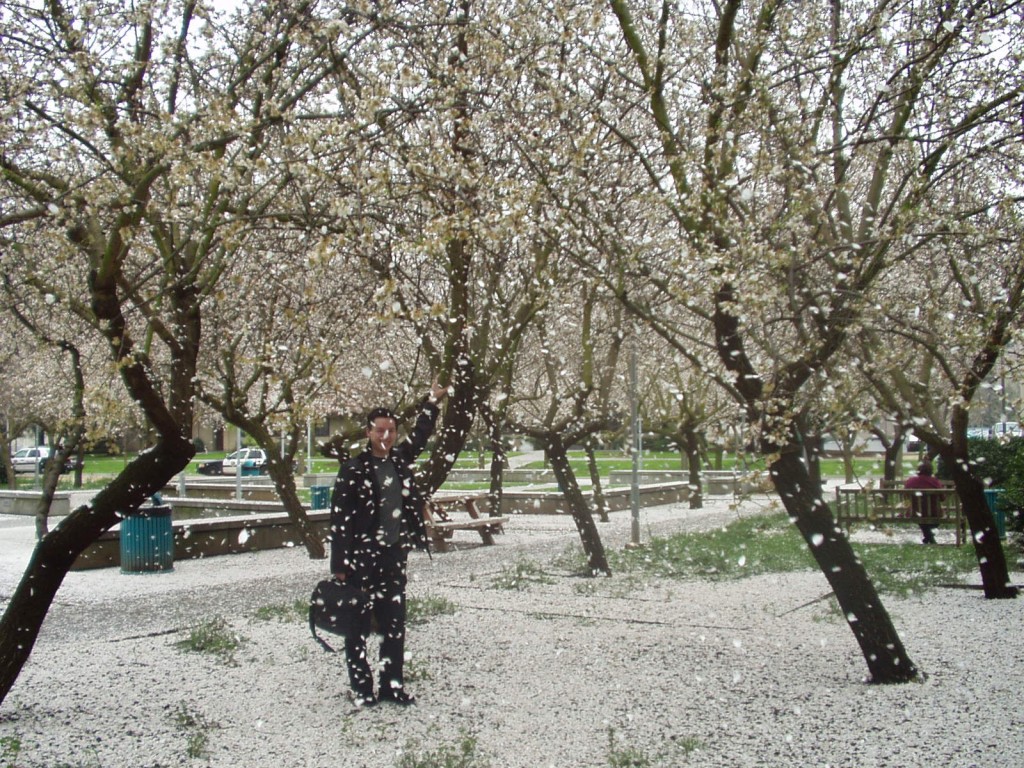NEEEJ, det snöar... blad från träden.. =) Spana även in de tuffa polisbilarna i bakgrunden, precis som på film!