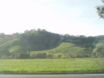 Böljande gröna kullar. Björn tänker: Downhill Mountainbiking!