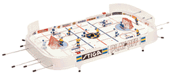 bordshockey_playoff.gif